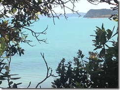 marmsky devotions pics November 2017 (6)