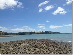 marmsky devotions pics November 2017 (8)