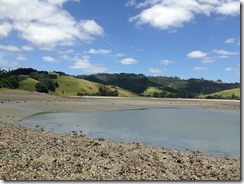 marmsky devotions pics November 2017 (9)