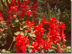 marmsky December 2017 (5)