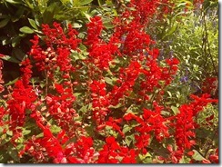 marmsky December 2017 (6)