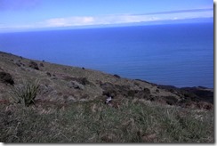 marmsky December 2017 (9)