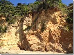 marmsky devotions pics November 2017 (26)