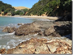 marmsky devotions pics November 2017 (29)