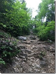 marmsky January 2018 (1)