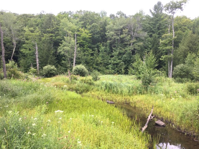 marmsky January 2018 (5)