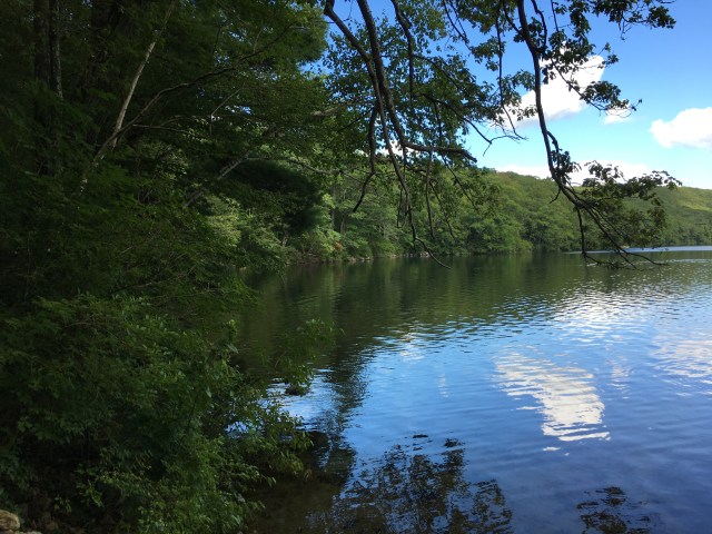 marmsky January 2018 (6)