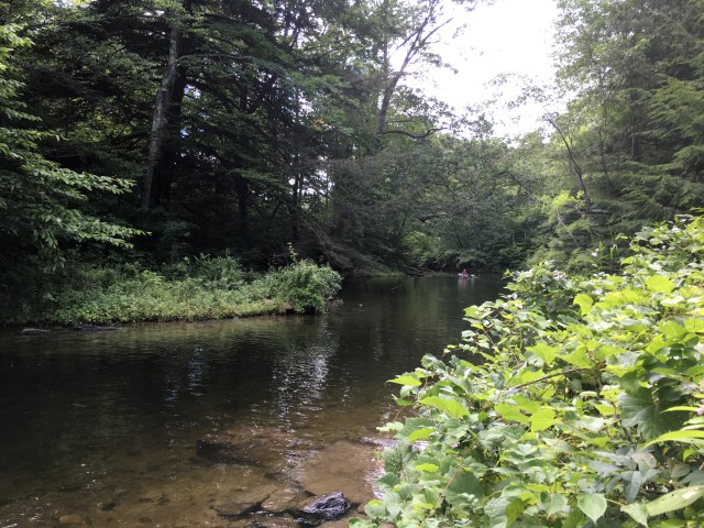 marmsky January 2018 (7)