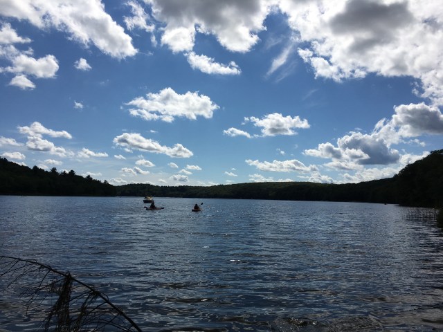 marmsky January 2018 (10)