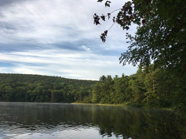 marmsky January 2018 (12)