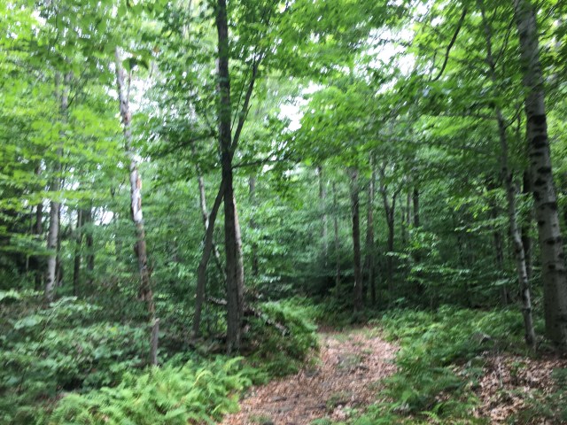 marmsky January 2018 (14)