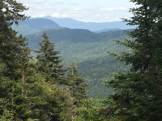 marmsky January 2018 (18)