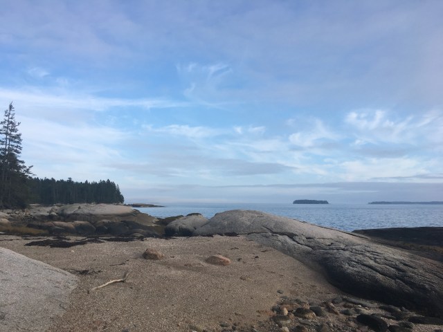 marmsky January 2018 (19)