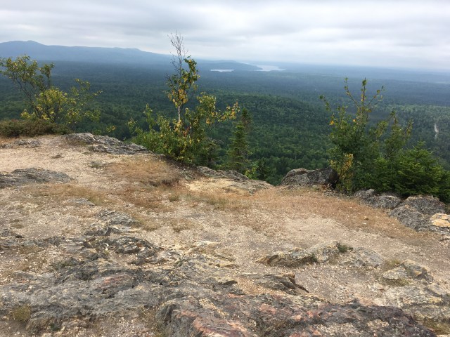 marmsky January 2018 (27)