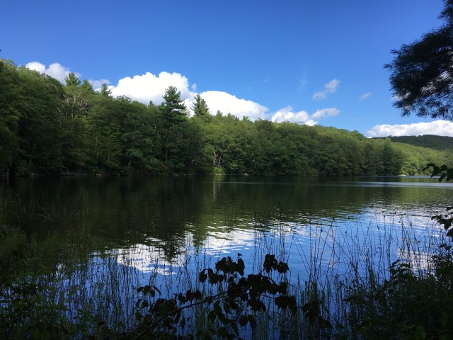 marmsky January 2018 (8)