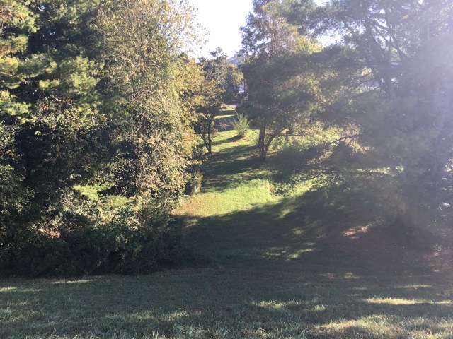 marmsky March 2018 (11)