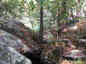 marmsky March 2018 (18)