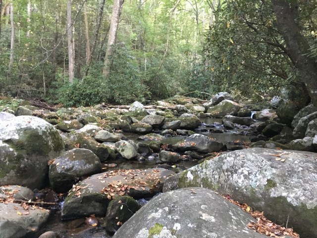 marmsky March 2018 (5)