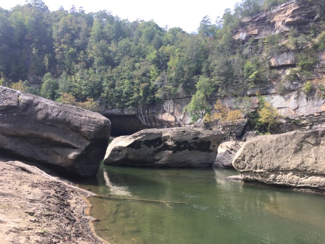 marmsky April 2018 (11)