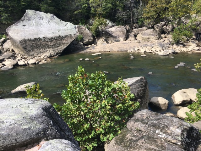 marmsky April 2018 (24)