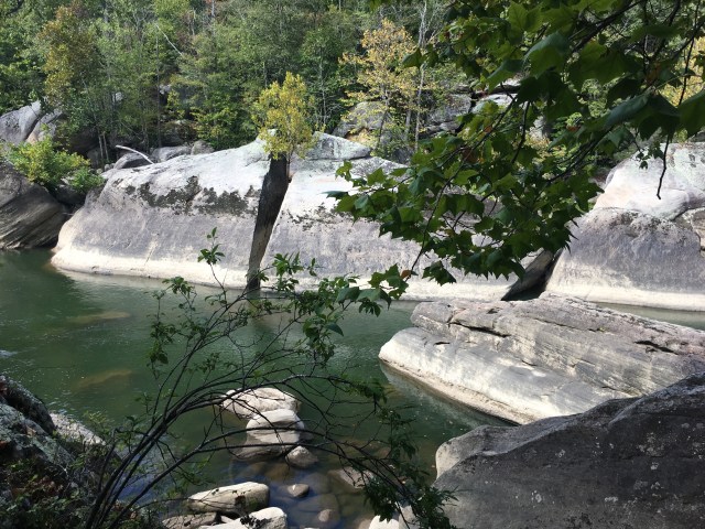 marmsky April 2018 (27)