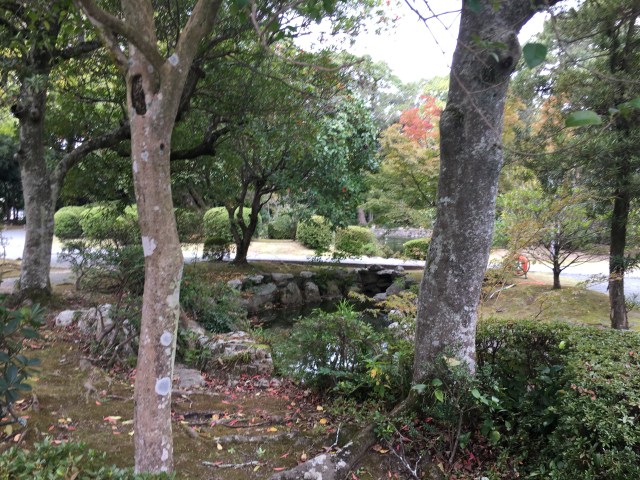 marmsky June 2018 (11)