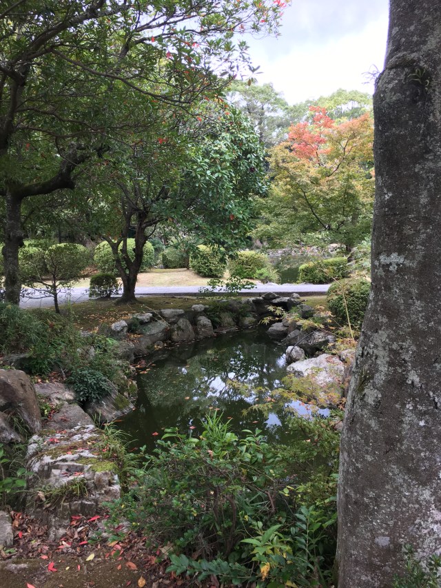 marmsky June 2018 (13)