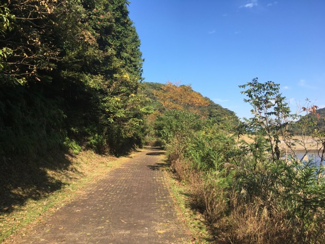 marmsky June 2018 (21)