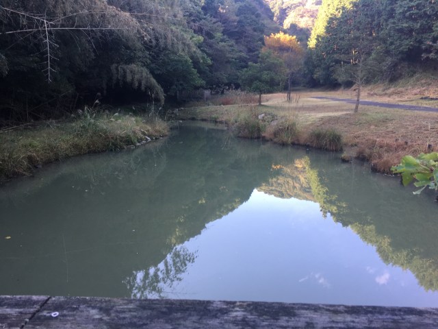 marmsky June 2018 (23)