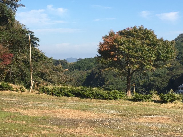 marmsky June 2018 (26)