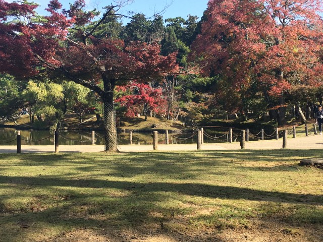 marmsky June 2018 (5)