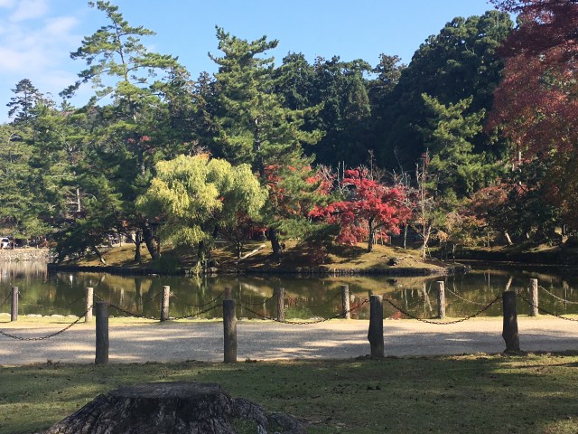 marmsky June 2018 (6)