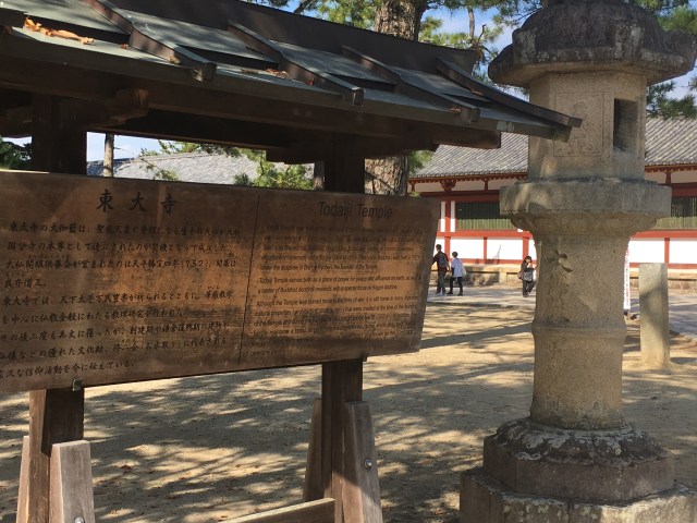 marmsky June 2018 (7)