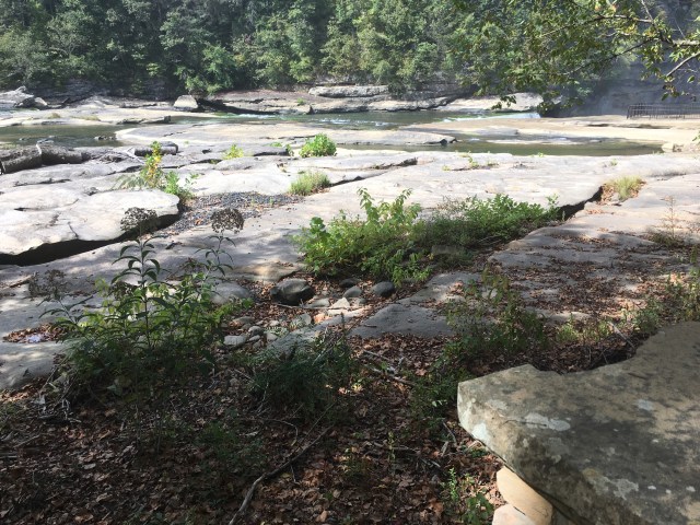 marmsky March 2018 (16)