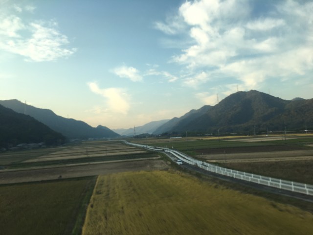 marmsky June 2018 (1)