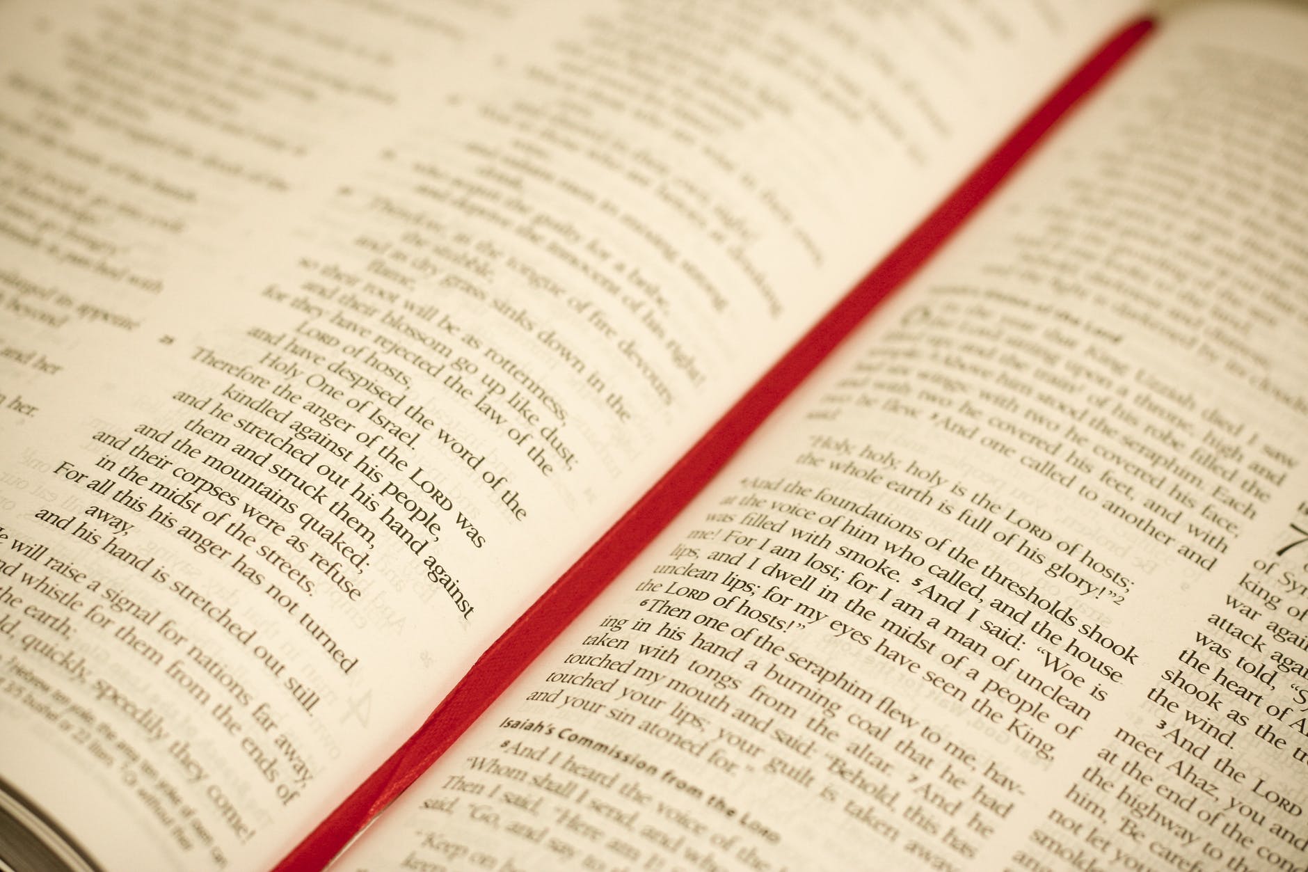 bible blur book catholic