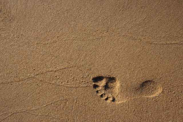 footprint on sand
