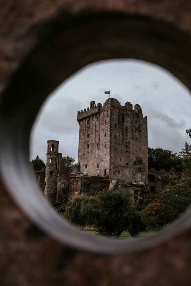 blarney castle near forest