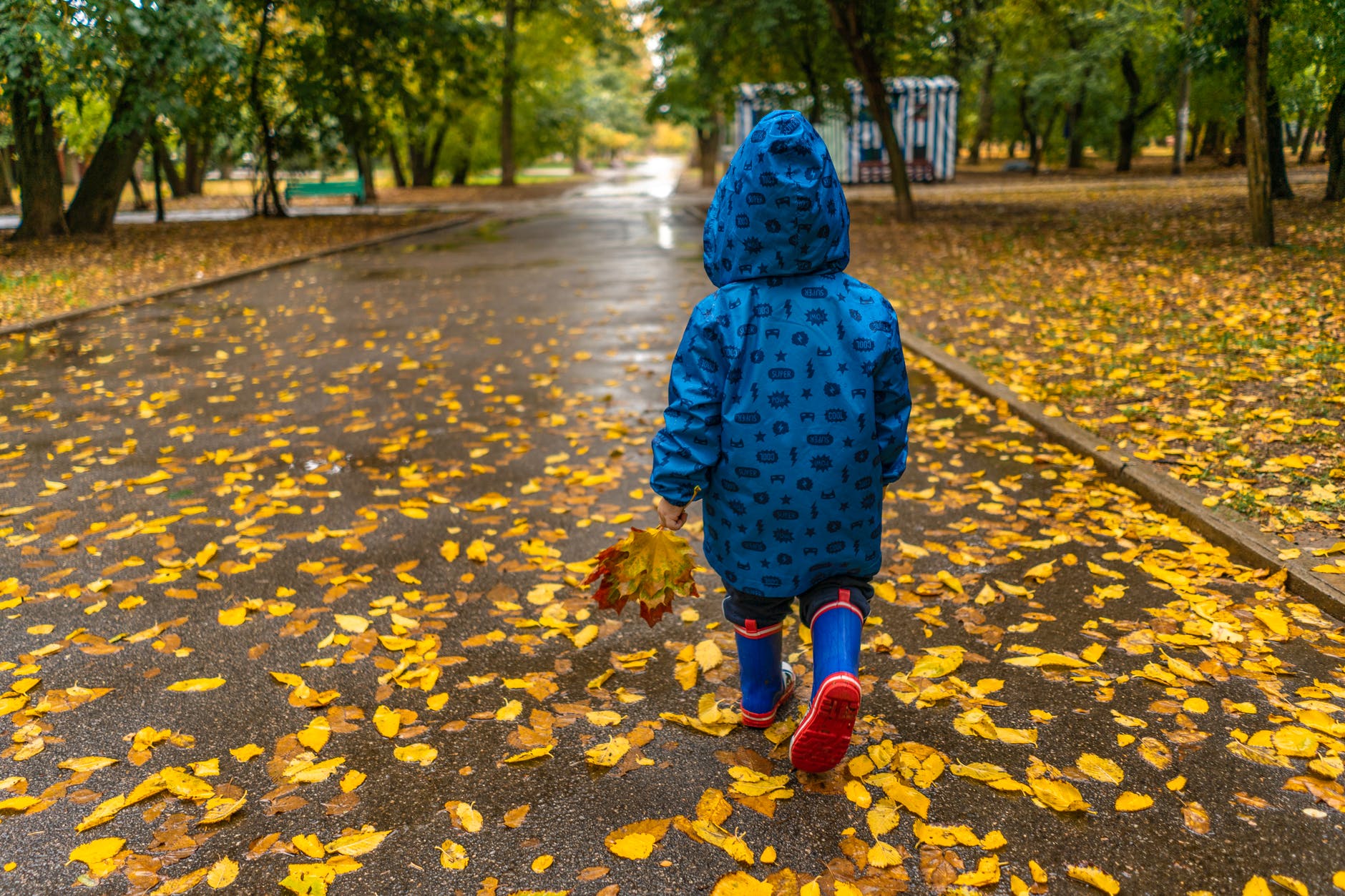 photo of kid wearing raincoat while walking on park