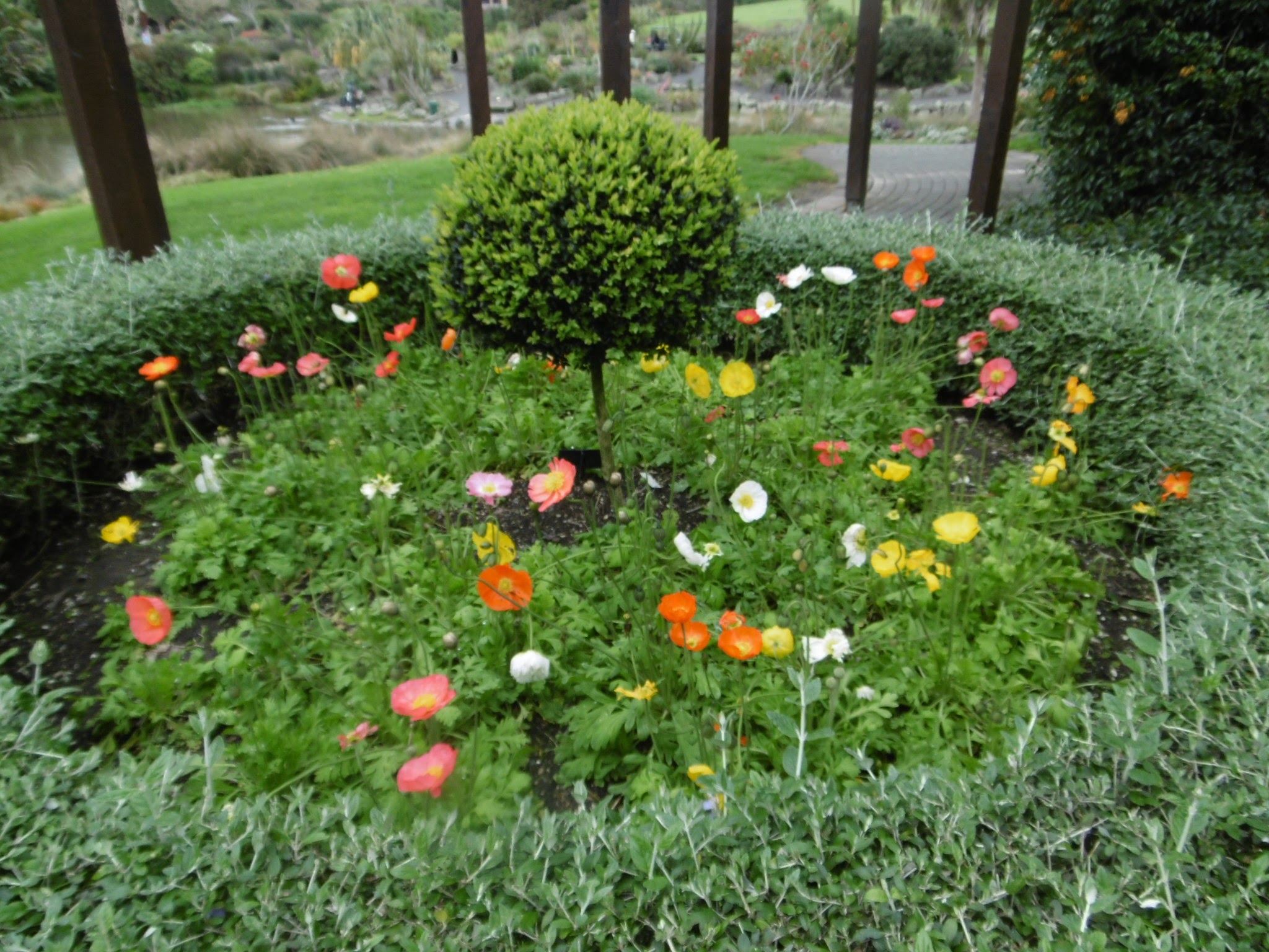 auckland-botanic-gardens-20160926-72